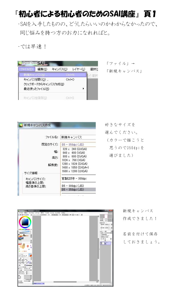 初心者による初心者のためのsai講座